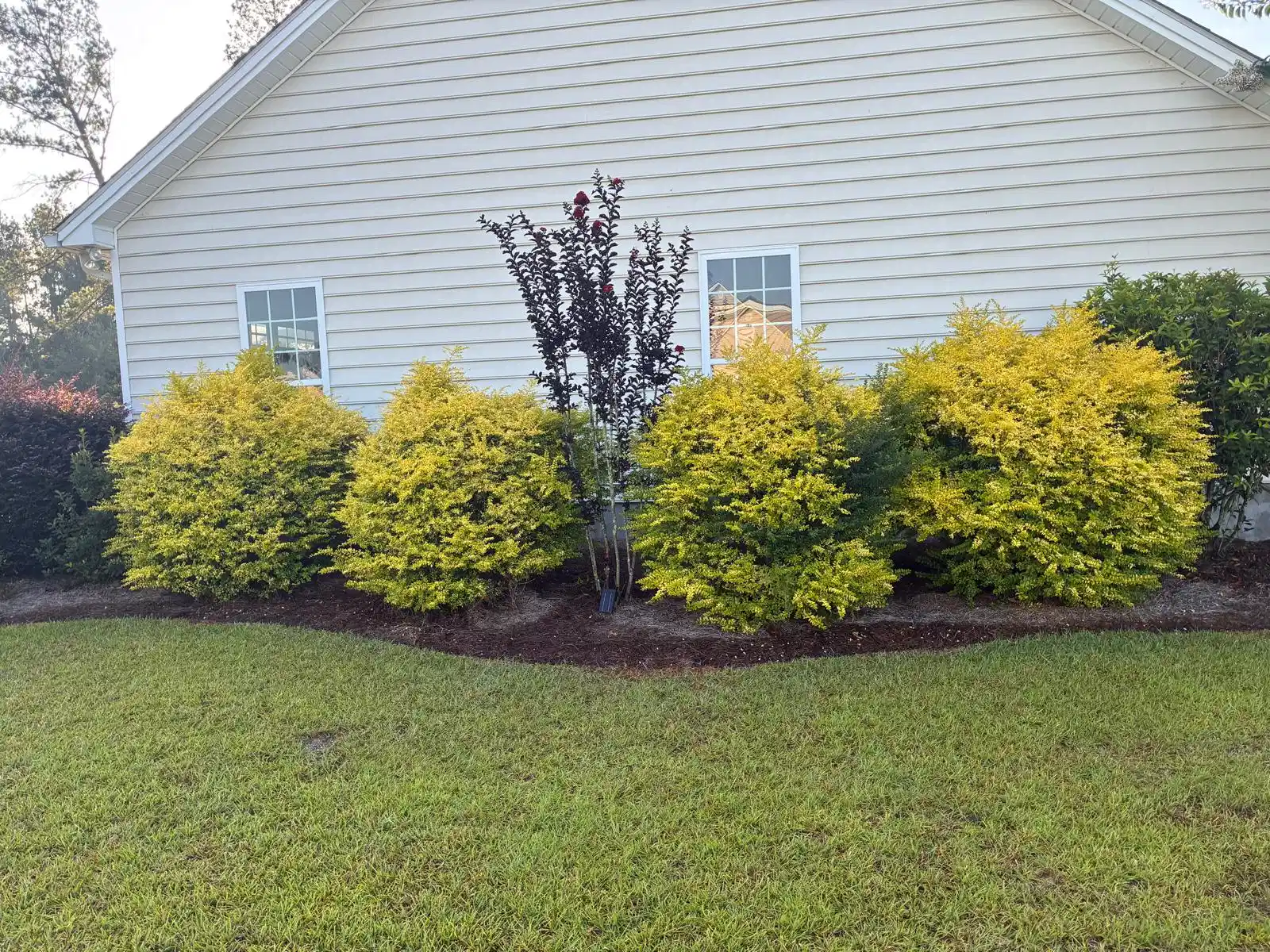 Fresh Garden Mulch Installation in Douglas GA
