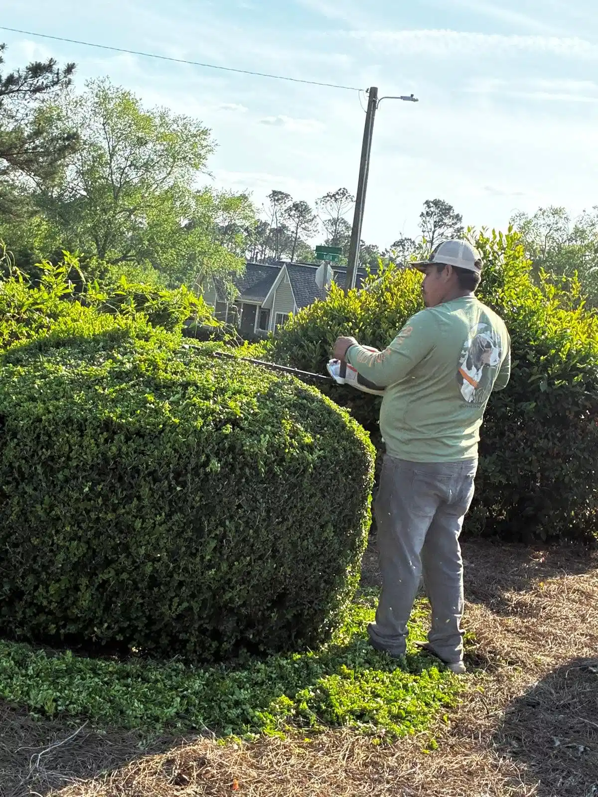 Professional Shrub Trimming Services in Douglas GA